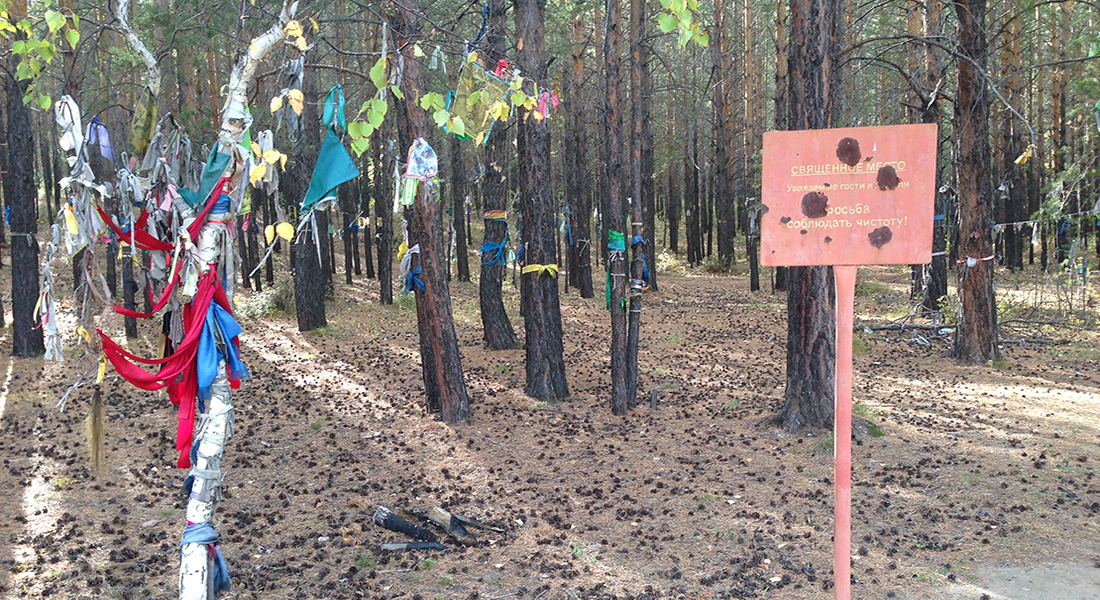 Sacred buddhist site - forest