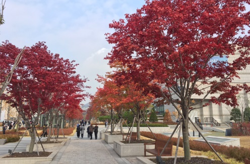 Yonsei University Sinchon Campus in autumn colors